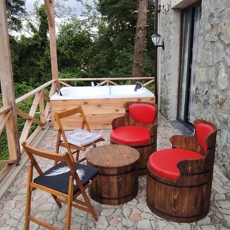 Sapanca Tas Konak Villa